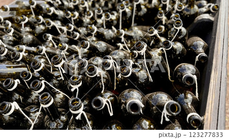 Empty dark wine bottles in close-up at an exhibition and sale of high-quality alcohol. A large number of bottles in the form of silhouettes and shapes in the design with garters and bows. Stylish Empty dark wine bottles in close-up at an exhibition and sale of high-quality alcohol. A large number of bottles in the form of silhouettes and shapes in the design with garters and bows. Stylish 123277833
