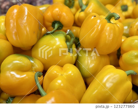 The vegetable market sells a lot of yellow organic bell peppers or capsicum in sorting boxes. Against the background of a pile of sweet bell peppers. Close-up. The vegetable market sells a lot of yellow organic bell peppers or capsicum in sorting boxes. Against the background of a pile of sweet bell peppers. Close-up. 123277860