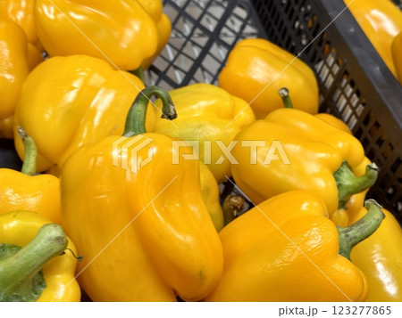 The vegetable market sells a lot of red organic bell peppers or capsicum in sorting boxes. Against the background of a pile of sweet bell peppers. Close-up. 123277865