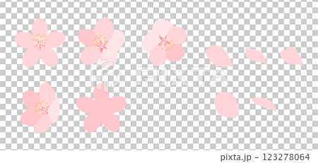 Illustration set of cherry blossoms in full bloom Cute hand-drawn spring flower material Illustration set of cherry blossoms in full bloom Cute hand-drawn spring flower material 123278064