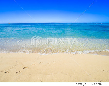 夏・海・ビーチイメージ ハワイ 夏・海・ビーチイメージ ハワイ 123278299