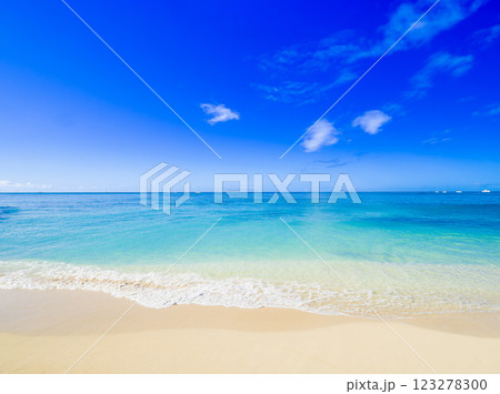 夏・海・ビーチイメージ　ハワイ 123278300