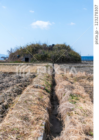 柳本飛行場跡南側防空壕跡の景色 123278307