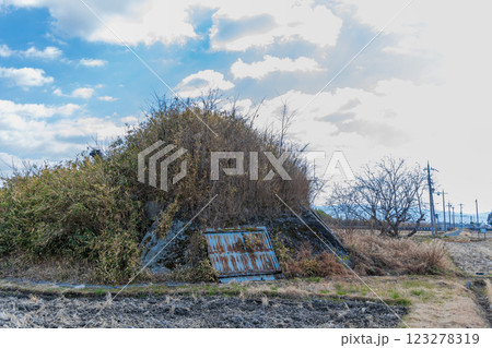 柳本飛行場跡南側防空壕跡の景色 123278319