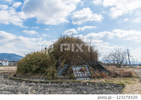 柳本飛行場跡南側防空壕跡の景色 123278320