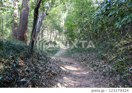 栃木県小山市の鷲城跡 栃木県小山市の鷲城跡 123279324