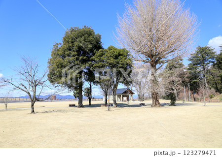 栃木県小山市の城山公園 123279471