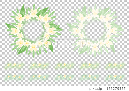 リナリア リナリア 123279555