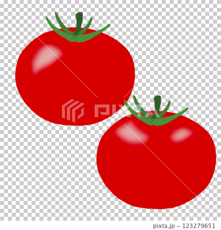 Tomato Tomato 123279651