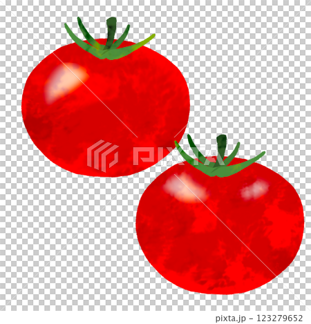 Watercolor tomato Watercolor tomato 123279652