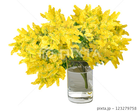 ミモザ（花瓶） 123279758
