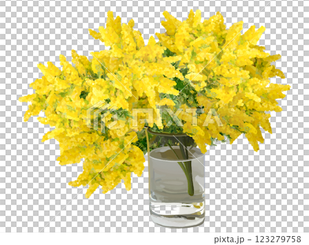 ミモザ（花瓶） 123279758