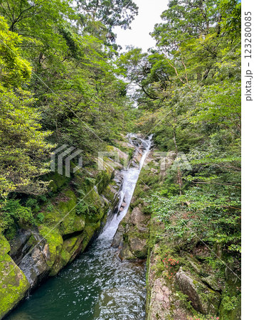 屋久島の豊かな森を歩く｜世界遺産の自然【縄文杉・白谷雲水峡トレッキング】 123280085