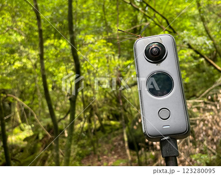 【白谷雲水峡トレッキング】屋久島の豊かな森を歩く｜世界遺産の自然【アクションカムにとまるトンボ】 123280095