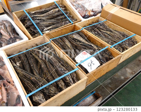 北海道名物ハッカク 釧路和商市場 和商市場 Washo Ichiba market 北海道名物ハッカク 釧路和商市場 和商市場 Washo Ichiba market 123280133