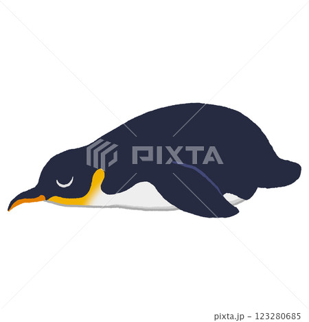 寝そべるキングペンギン 寝そべるキングペンギン 123280685