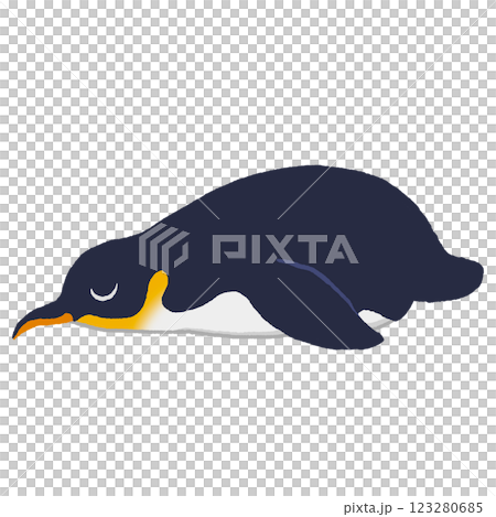 寝そべるキングペンギン 寝そべるキングペンギン 123280685