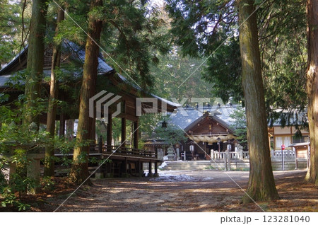 信州　松本の神社　大宮熱田神社　梓川の神を祀る　室町時代建造の本殿は国重要文化財 123281040