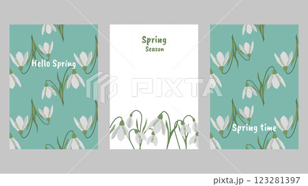 Hello Spring template poster or cards set. Snowdrops pattern Colorful background with beautiful flowers. Vector illustration for cover design marketing material natural and organic products. 123281397