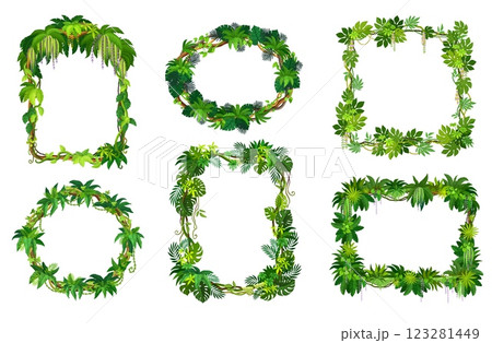 Tropical jungle frames of forest liana branches and leaves or ivy vines, vector borders. Cartoon tropical liana frames of rainforest creeping plants, jungle bindweed tree tendrils and monstera leaves Tropical jungle frames of forest liana branches and leaves or ivy vines, vector borders. Cartoon tropical liana frames of rainforest creeping plants, jungle bindweed tree tendrils and monstera leaves 123281449