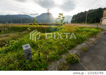 歴史的な古道「塩の道」とその周辺 歴史的な古道「塩の道」とその周辺 123282749