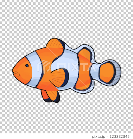 カクレクマノミのイラスト 123282845