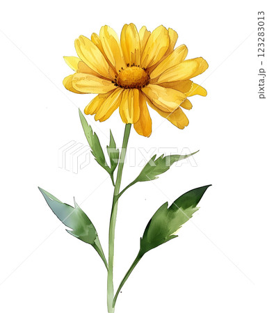 a yellow flower with green leaves on a white background a yellow flower with green leaves on a white background 123283013