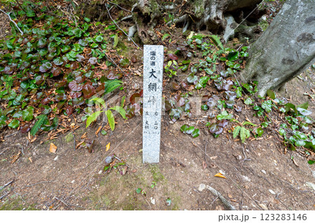 歴史的な古道「塩の道」とその周辺 123283146