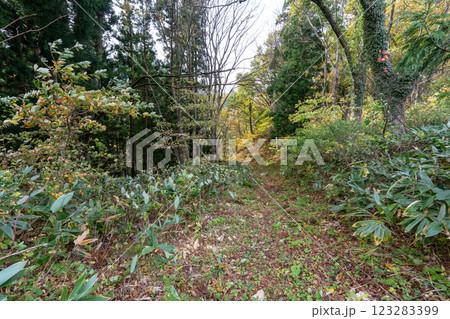 歴史的な古道「塩の道」とその周辺 歴史的な古道「塩の道」とその周辺 123283399