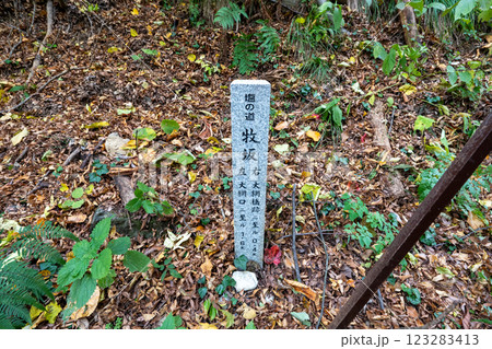 歴史的な古道「塩の道」とその周辺 123283413