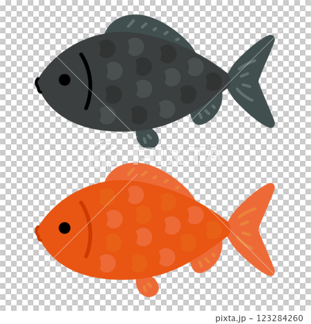 Goldfish illustration set (red and black) Goldfish illustration set (red and black) 123284260