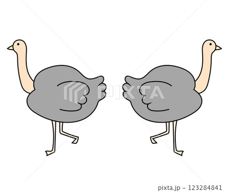 ダチョウすれ違い ダチョウすれ違い 123284841