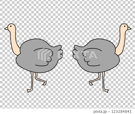 ダチョウすれ違い ダチョウすれ違い 123284841