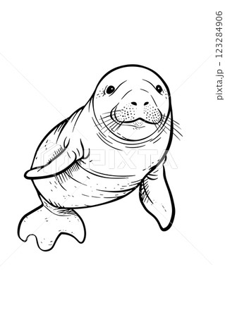 Black and white seal head drawing on white background 123284906