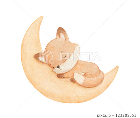 Baby cute fox sleeping on moon, watercolor hand draw illustration for kids, woodland animal, painted drawing with isolated background 123285353