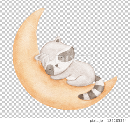 Baby raccoon sleeping on moon, watercolor hand draw illustration for kids, woodland animal, painted drawing with isolated background 123285354