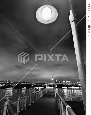 「電灯と屋形船」お台場海浜公園 123285543