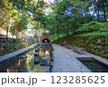 柿田川公園 柿田川公園 123285625