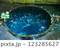 柿田川湧水群 柿田川湧水群 123285627