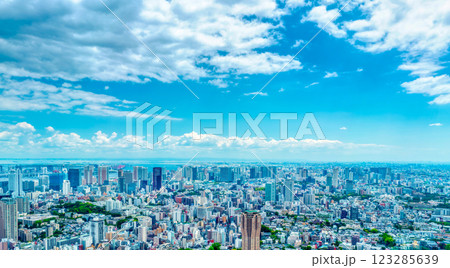 初夏の東京風景・大都会に林立する高層ビルとタワマン 初夏の東京風景・大都会に林立する高層ビルとタワマン 123285639