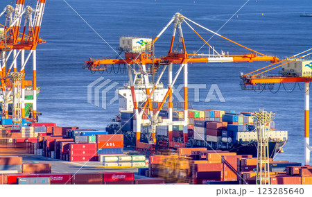 東京港・コンテナターミナル 東京港・コンテナターミナル 123285640