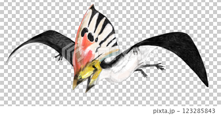 翼竜　トウパンダクティルス・　インペトラル体高の40％に達する巨大なトサカ 123285843