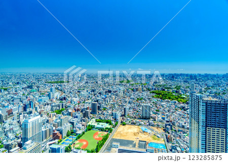 春の青空と緑の東京風景 春の青空と緑の東京風景 123285875