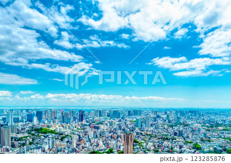 初夏の東京風景・大都会に林立する高層ビルとタワマン 123285876