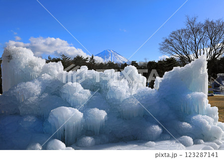 西湖野鳥の森公園の氷祭り 123287141