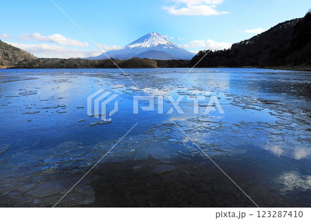精進湖からの冬富士 精進湖からの冬富士 123287410