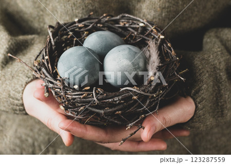 Female hands hold a birds nest with blue colored eggs, close-up, green sleeves. Beautiful Easter concept. 123287559