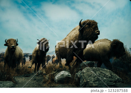 Winnipeg, Manitoba, Canada - may 2 2024 The Manitoba Museum Winnipeg, Manitoba, Canada - may 2 2024 The Manitoba Museum 123287588