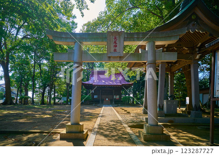 神奈川県川崎市多摩区の長尾神社(ながおじんじゃ)の鳥居越しに拝殿を見る 神奈川県川崎市多摩区の長尾神社(ながおじんじゃ)の鳥居越しに拝殿を見る 123287727