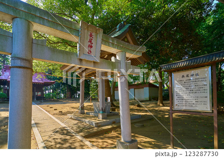 神奈川県川崎市多摩区の長尾神社(ながおじんじゃ)の鳥居と拝殿 神奈川県川崎市多摩区の長尾神社(ながおじんじゃ)の鳥居と拝殿 123287730